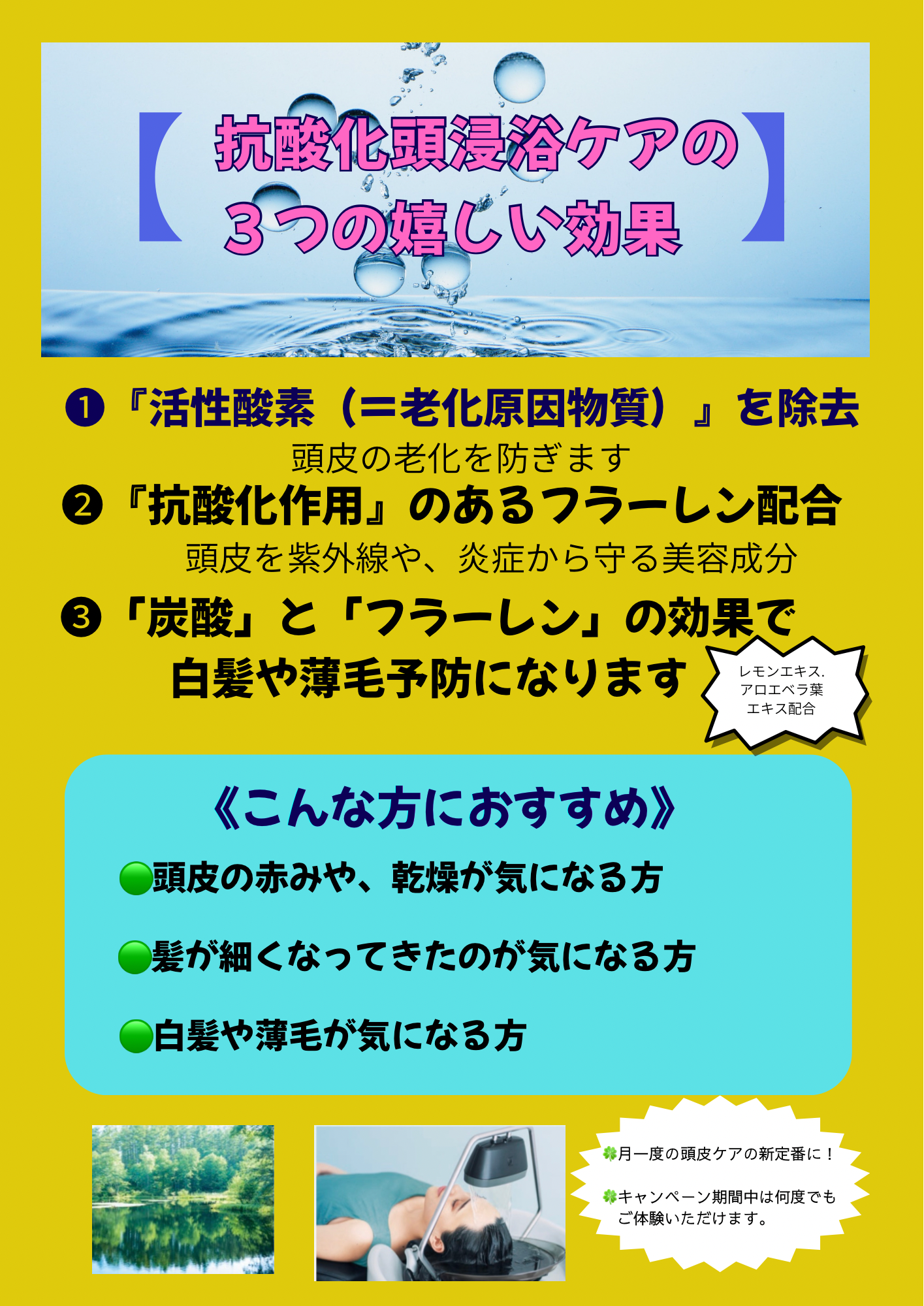 抗酸化頭浸浴2